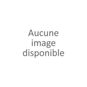 Ballerine fleurie rose femme (37-42)